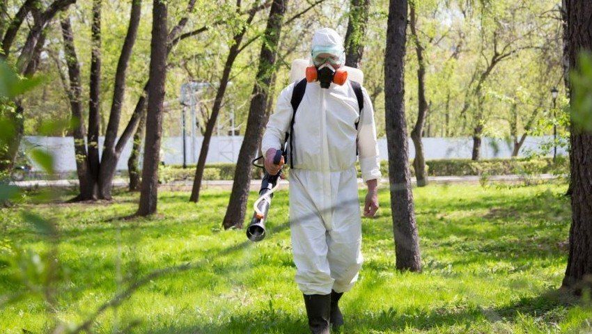 Уничтожение комаров в Ставрополе