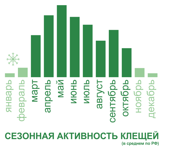 Акарицидная обработка от клещей территории и участков в Ставрополе. Цены